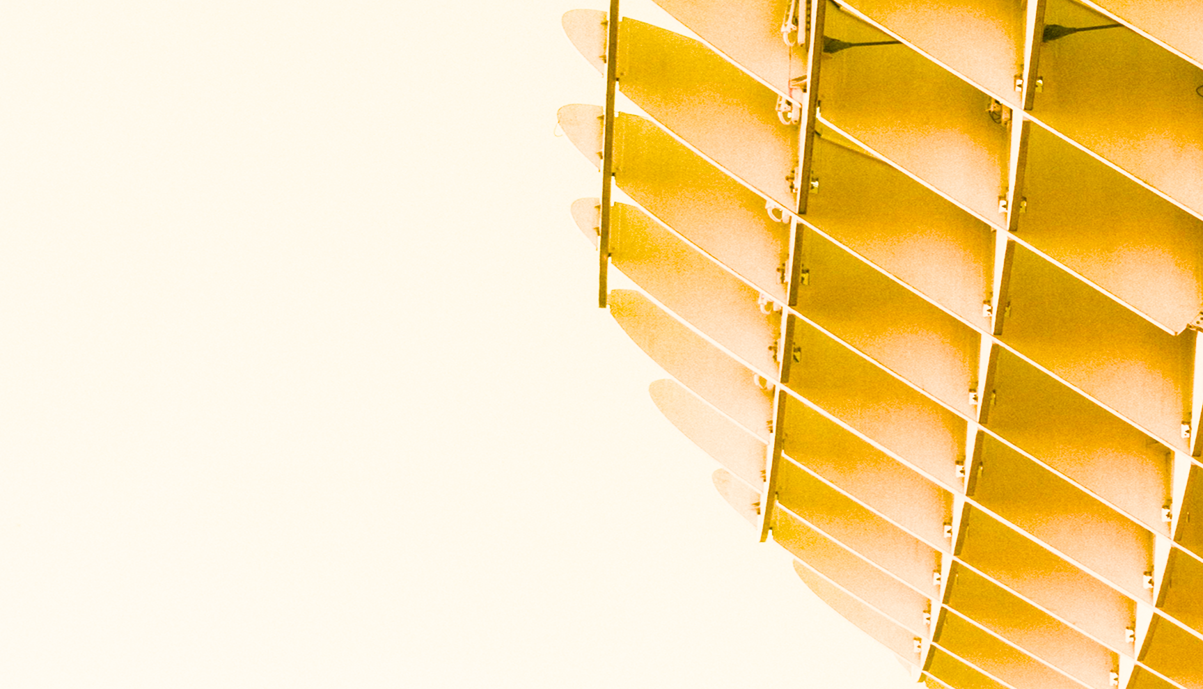 About Xporate